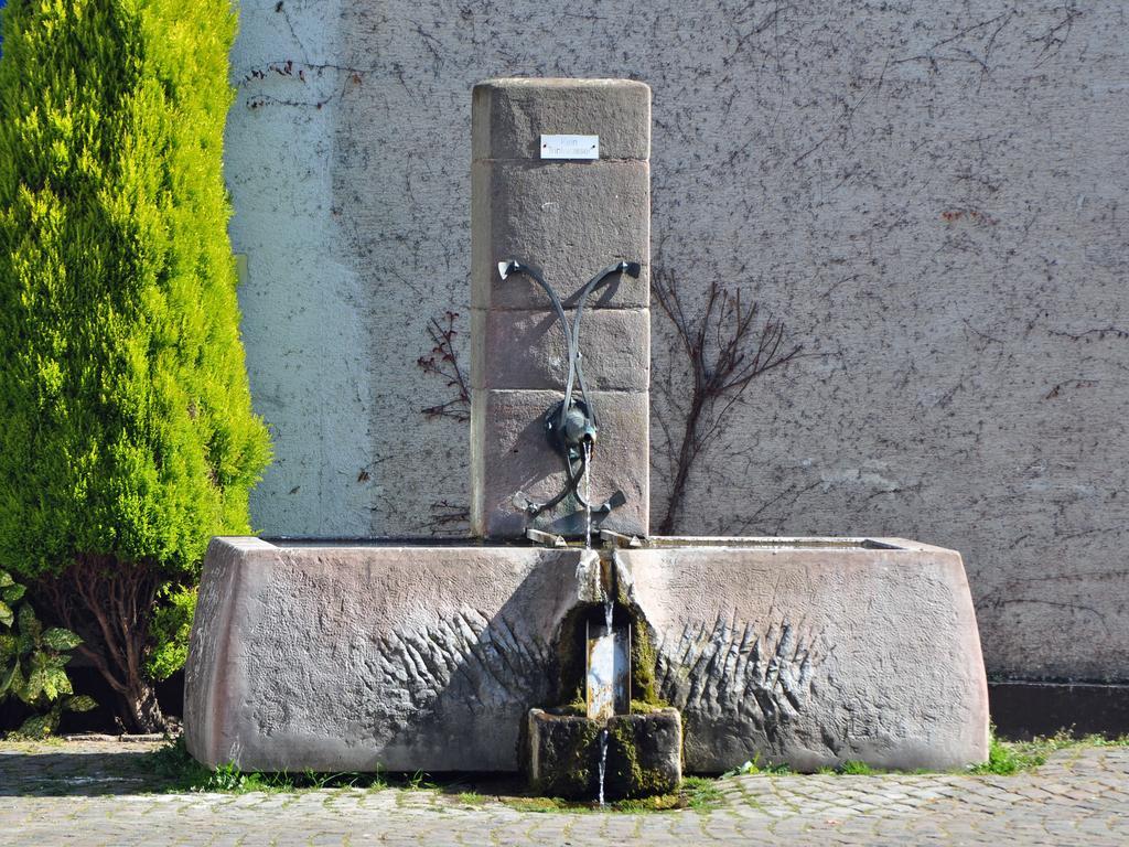 Ilbesheim bei Landau in der Pfalz Hofgarten Rosa المظهر الخارجي الصورة