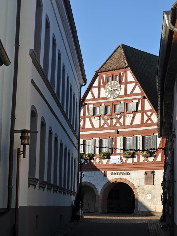 Ilbesheim bei Landau in der Pfalz Hofgarten Rosa المظهر الخارجي الصورة